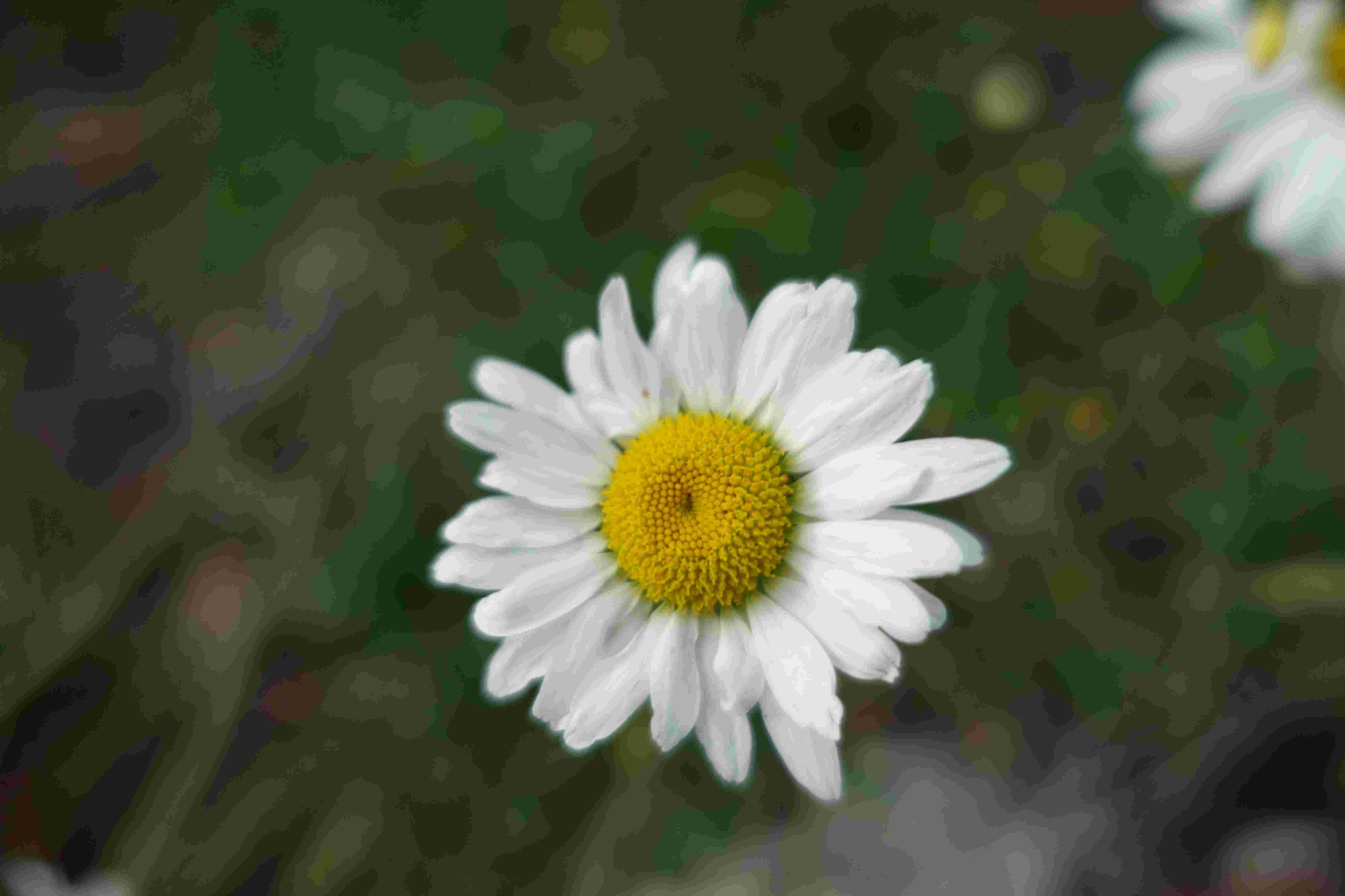 symbol image