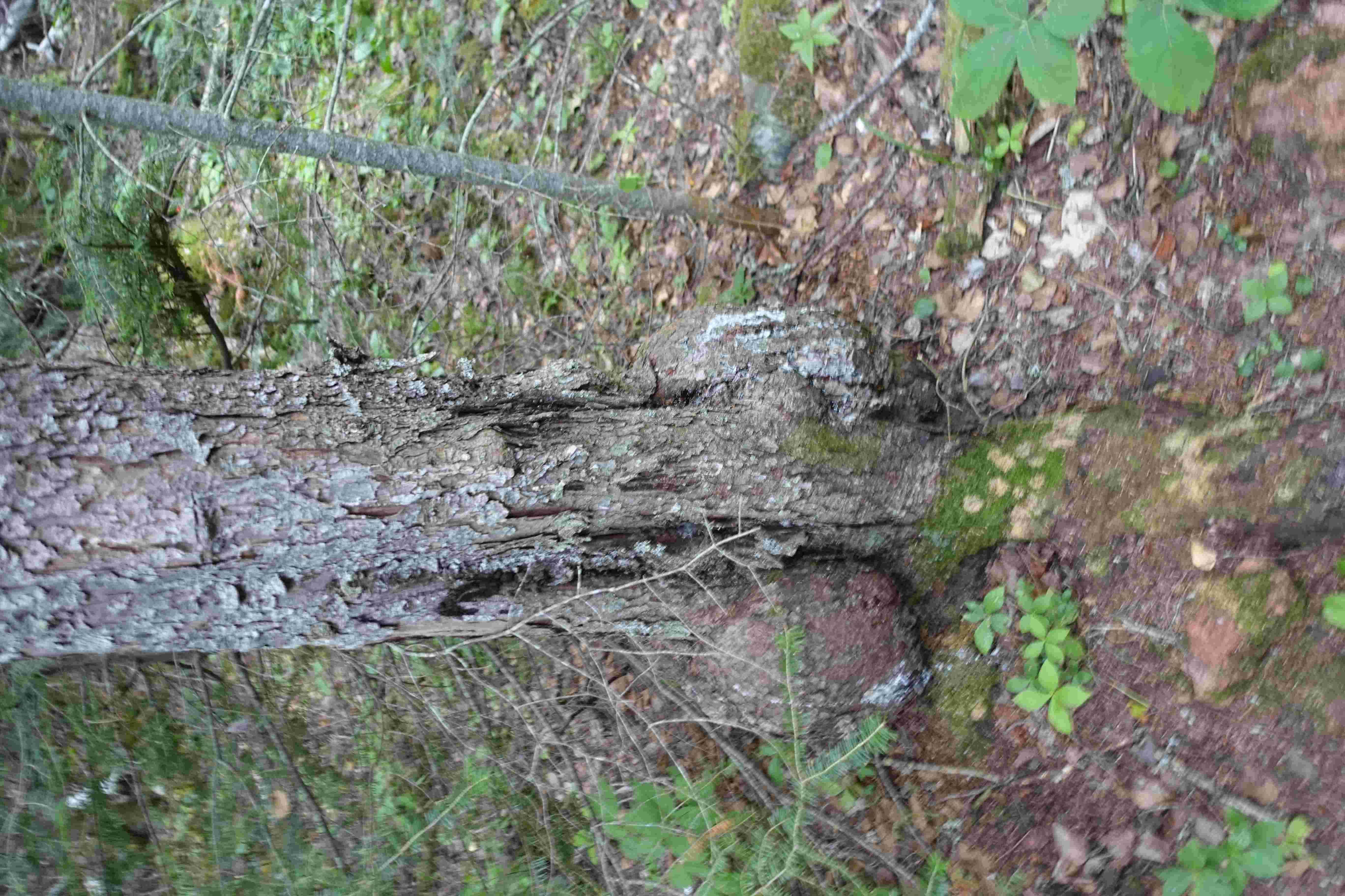 symbol image