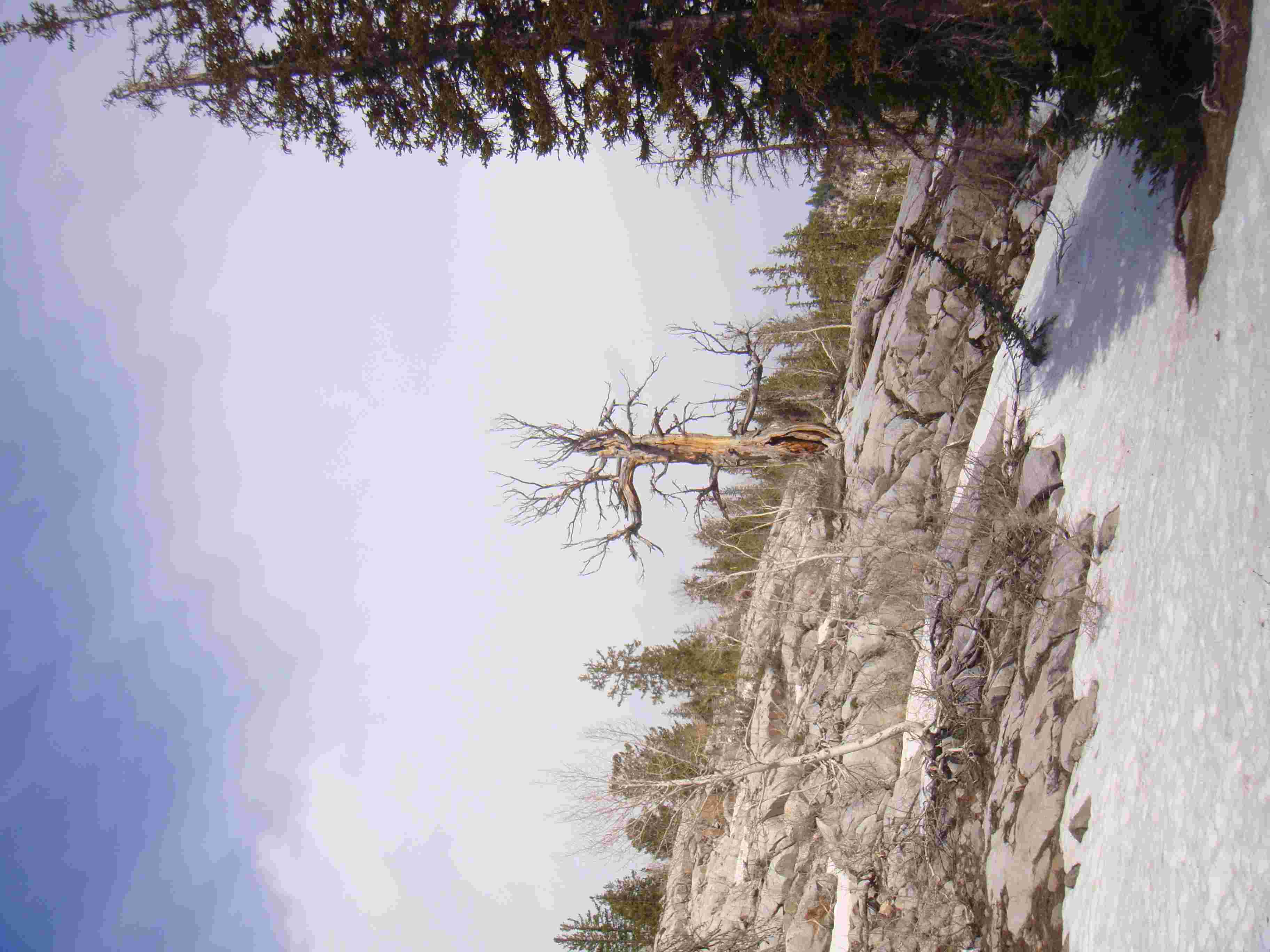 symbol image