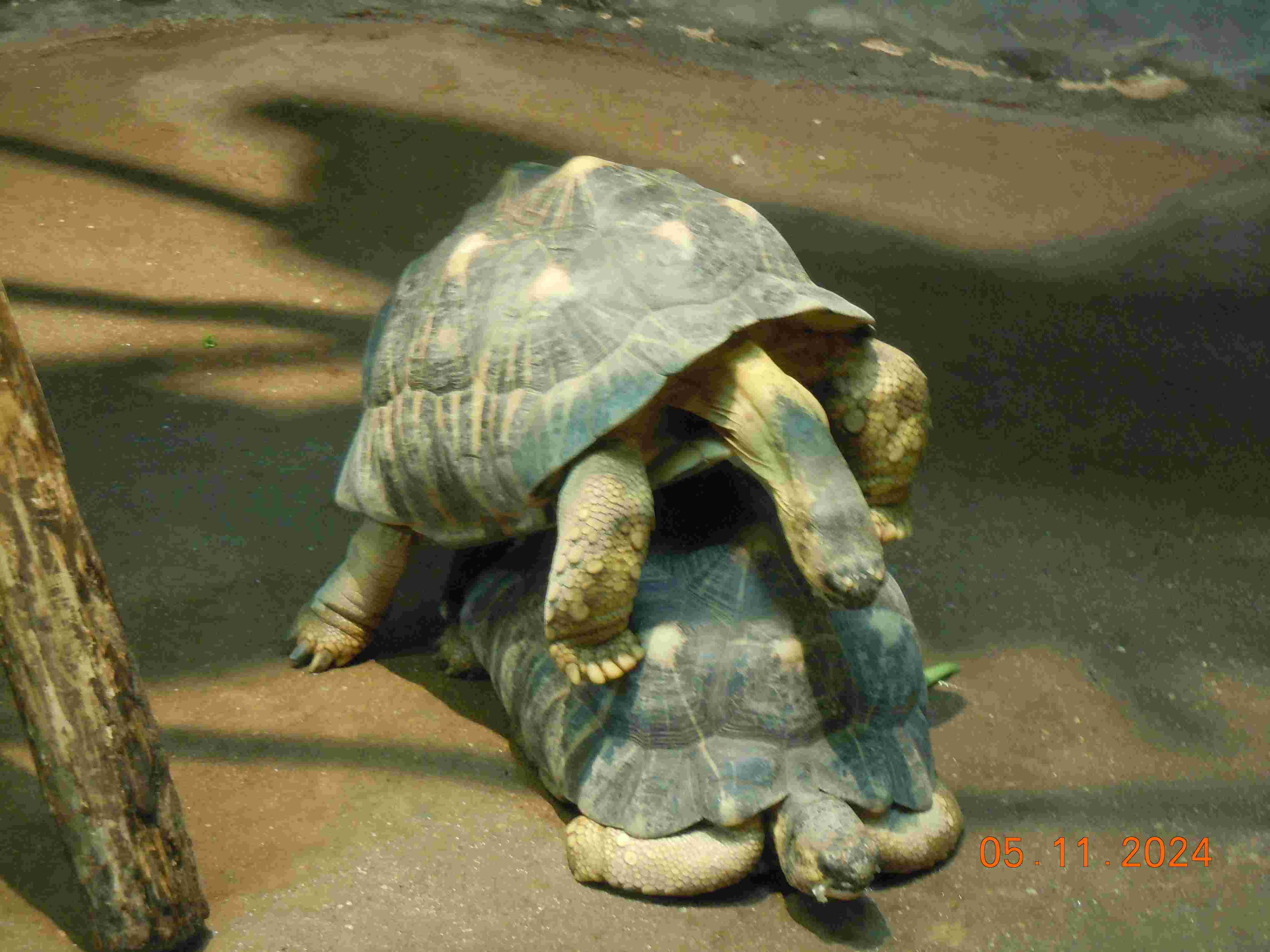 symbol image