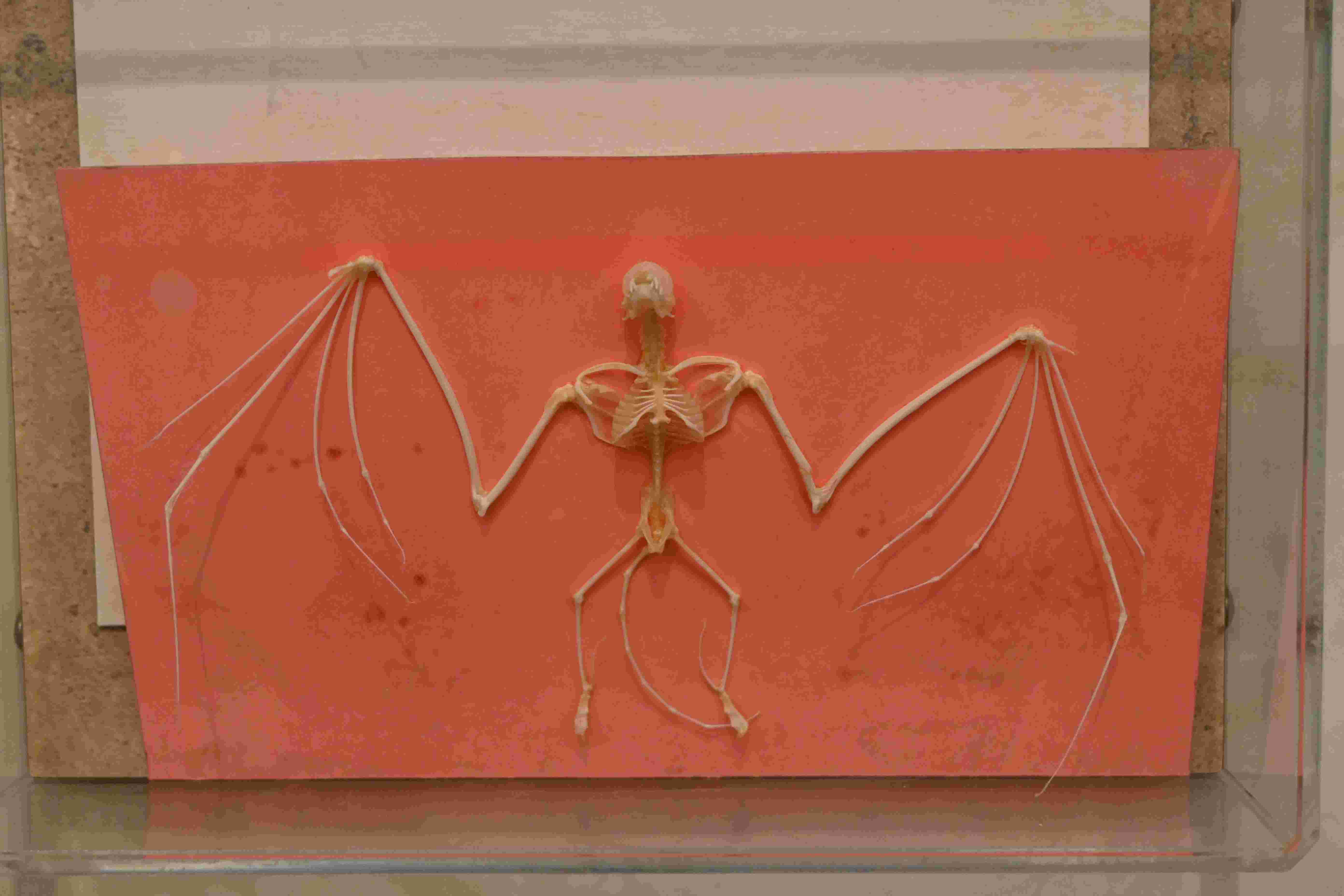 symbol image